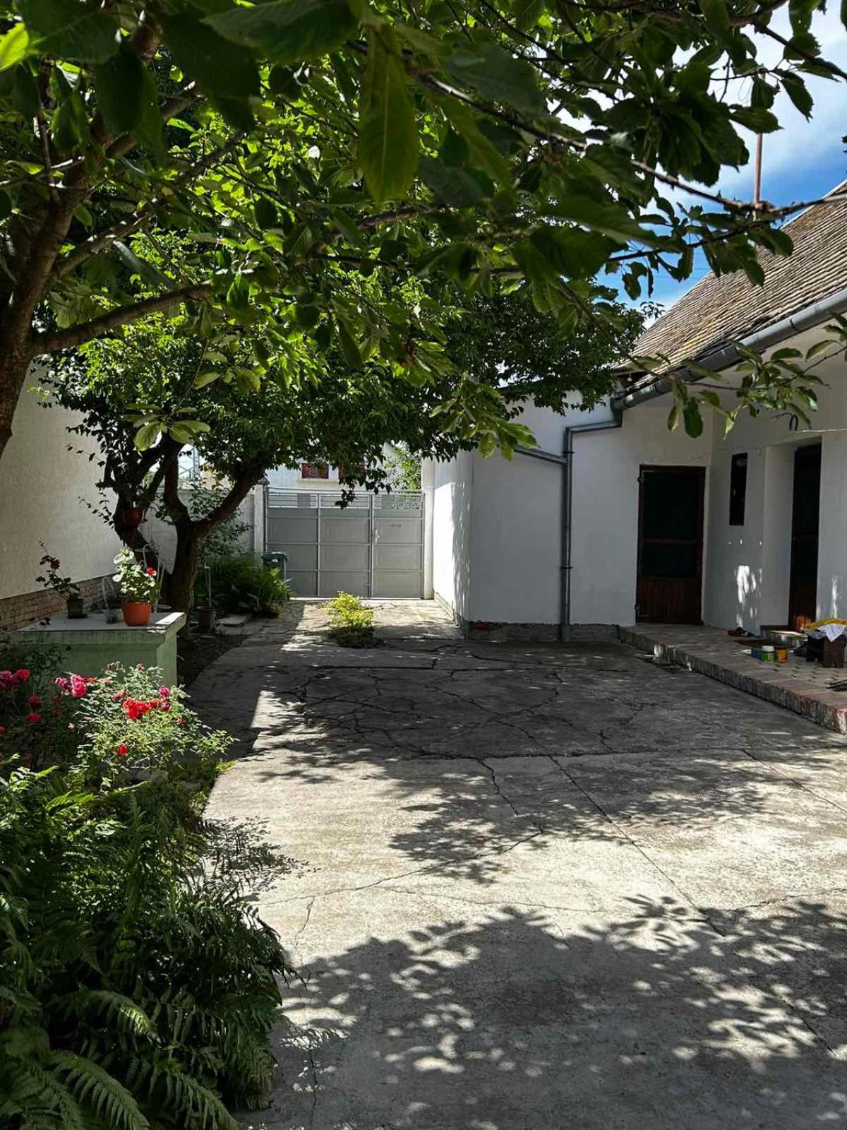 Oaza Mira Porodicna Kuca Za Opustanje Villa Apatin Luaran gambar