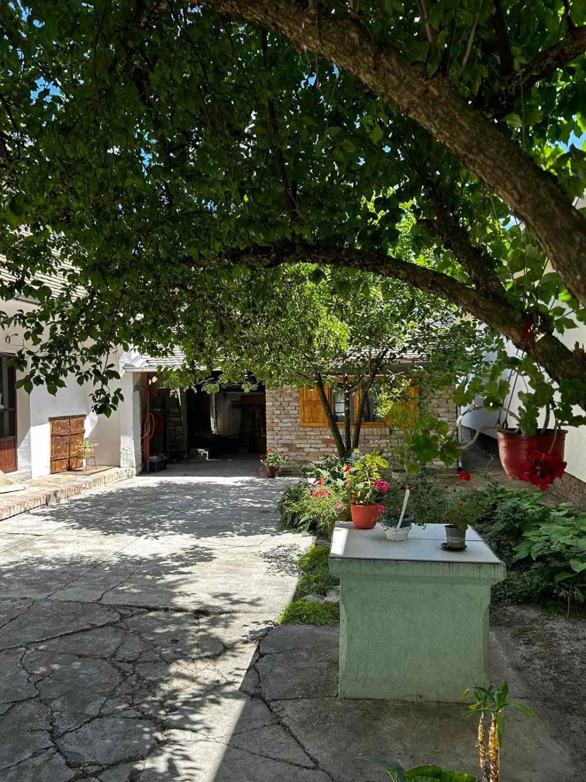 Oaza Mira Porodicna Kuca Za Opustanje Villa Apatin Luaran gambar